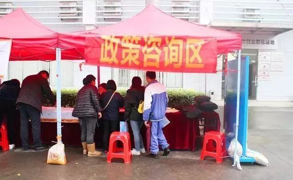 江门荷塘最新招工情况及其背景、事件与影响分析