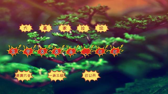 2024新版跑狗图库大全,实时处理解答计划_RQJ29.248薪火相传版