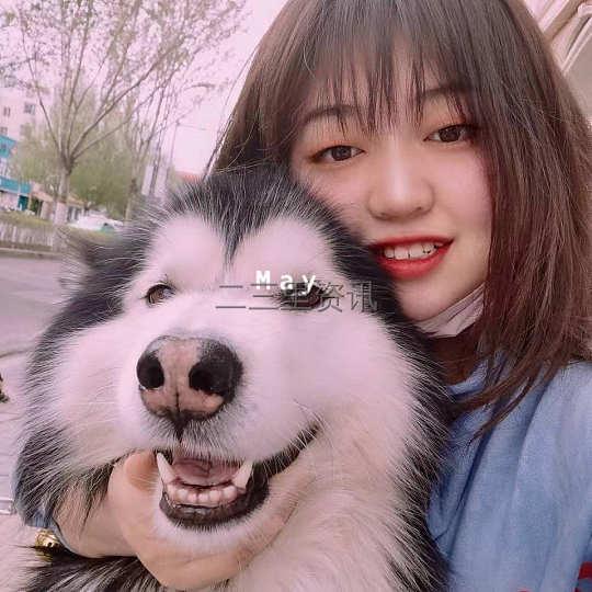 镇赉最新卖楼信息,繁荣背后的故事与影响探究