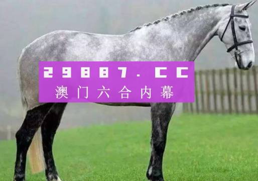 澳门2023特马今晚开奖时间,精准解答方案详解_WNP29.627定制版