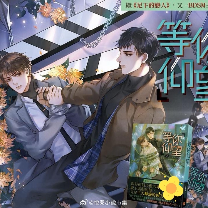 耽美文热潮深度探讨,最新推荐与现象解读 2024年文化趋势观察