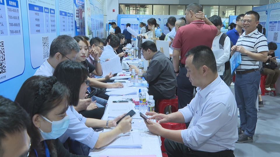 2024王中王资料大全公开,基础电信业务_NZB29.563动态版