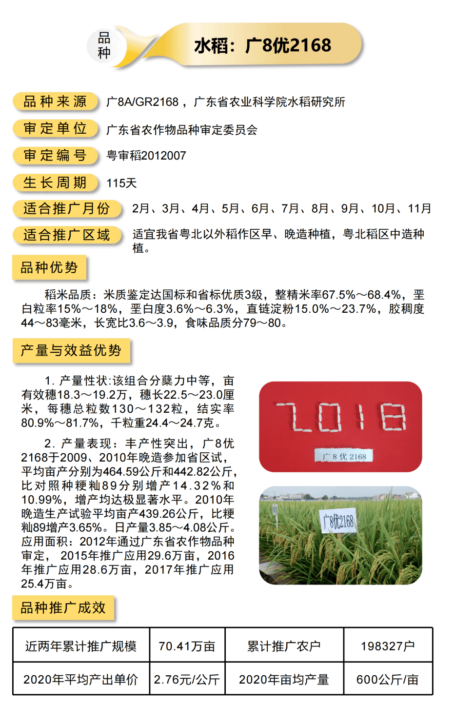 广东八二站免费原料600,处于迅速响应执行_CRX50.883护眼版