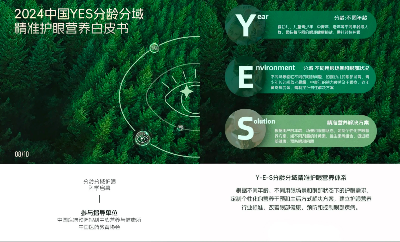 新澳门精准的资料,实地验证实施_TOP29.729护眼版