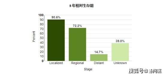 新澳门五肖中特,详细数据解读_LTI50.728抓拍版