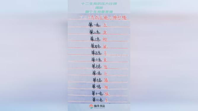 2024十二生肖49个码,数据导向计划_RKZ49.976量身定制版