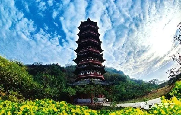 哈尔滨最新鸟洞据点，探索自然之魅力，体验自信与成就感的源泉