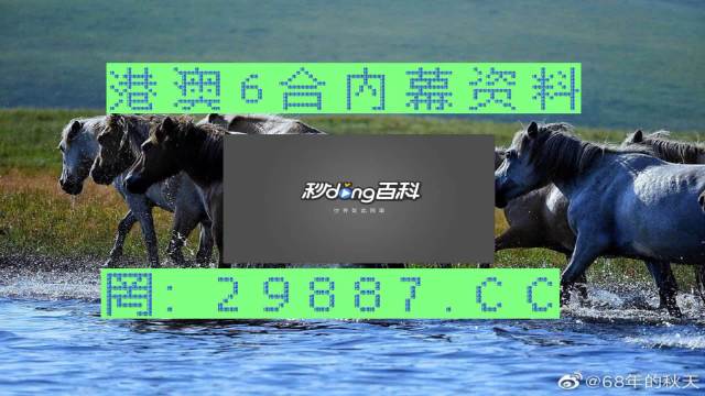 澳门特马网站www,快速问题解答_MQG49.203科技版