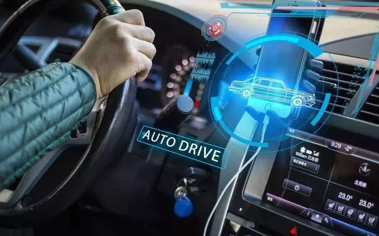 2024年韩国最新悬疑电影,小巷深处的秘密故事揭秘