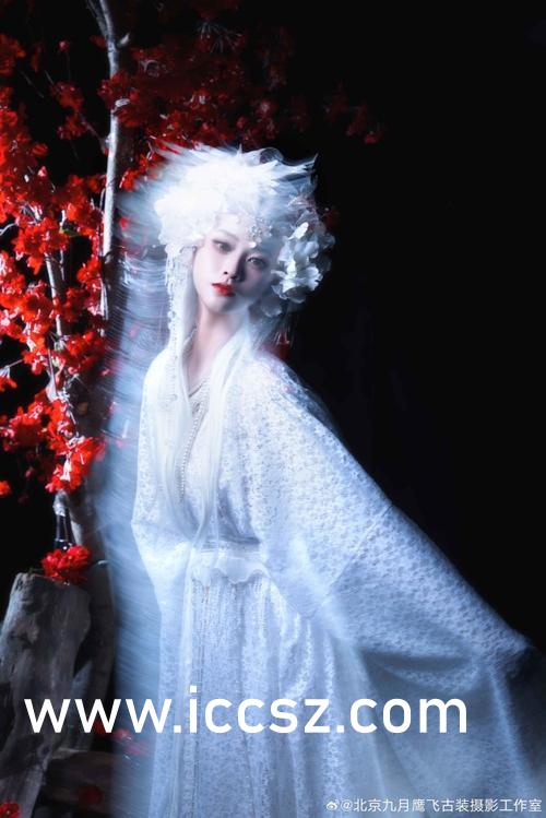 樱由罗2024最新，小巷中的秘密美食天堂揭秘