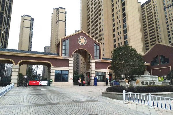 观澜印象最新动态，城市发展的脉搏与未来展望