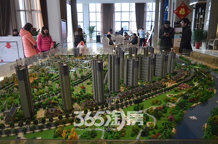 观澜印象最新动态,城市发展的脉搏与未来展望