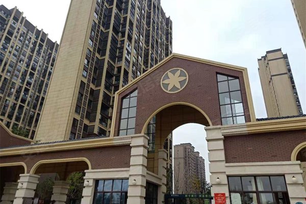 观澜印象最新动态,城市发展的脉搏与未来展望