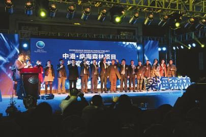 燊海森林迎来新篇章，城市绿色明珠的最新动态