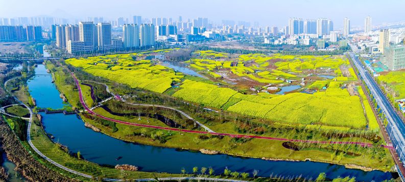 宿松秀水河畔最新动态,河畔温馨日常揭秘