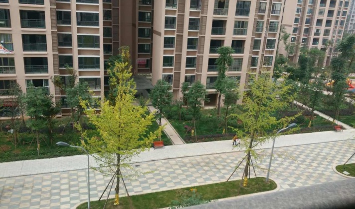 资阳泓城水韵最新动态,变化中的力量与自信成长旋律