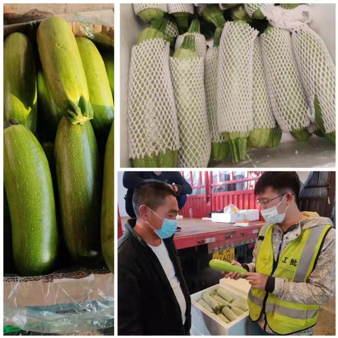 最新胡萝卜价格走势图及其背后的温馨故事