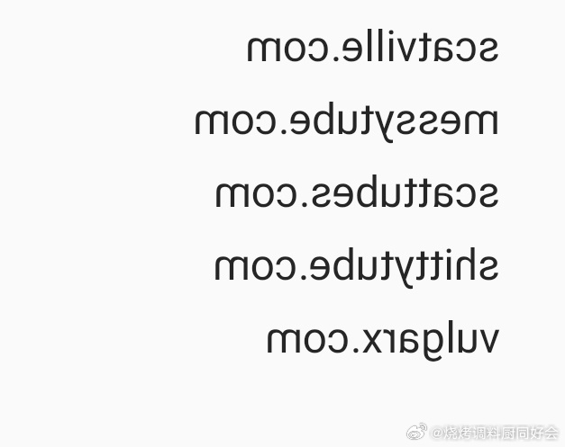 最新域名获取解析平台,一站式满足您的网络导航需求