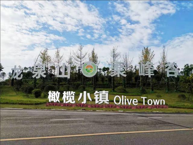 金堂足球小镇最新动态，进展、争议与前景展望