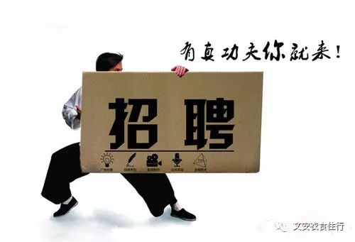 文安招聘网最新招聘，探索自然美景之旅，寻找内心平和与宁静的职场起点