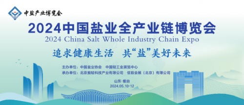 盐业改革进展揭秘，友情与家庭的交织之旅，甜咸交织的奇妙旅程