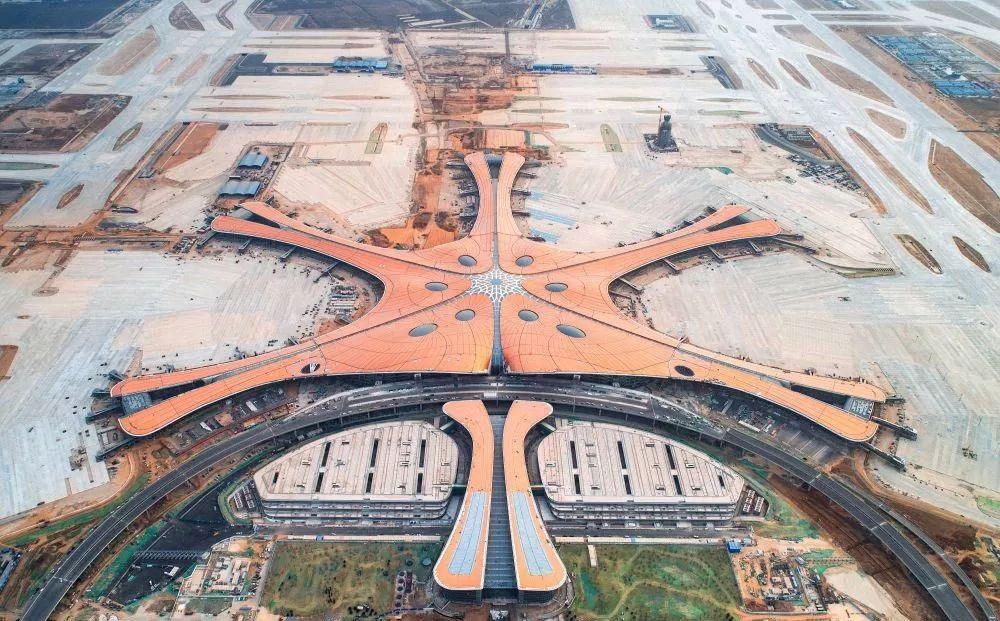 武清大学城蓬勃发展，开启教育新篇章的最新消息