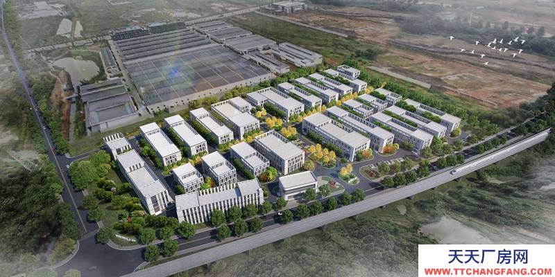 天邛产业园最新动态,友情与陪伴的温馨故事