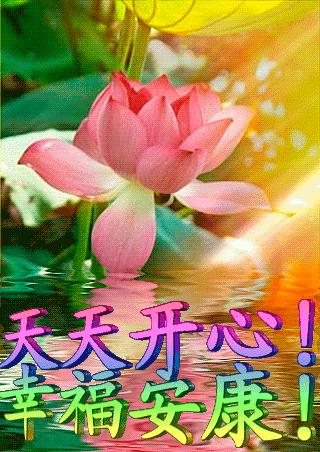 最新早上好动态图片集锦，时代问候与文化繁荣的展现