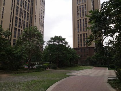 仙游皇庭美域最新动态，多维度分析与观点阐述