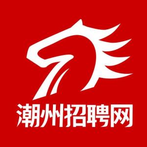 潮州招聘网最新招聘会探秘，小巷深处的职场奇遇之门