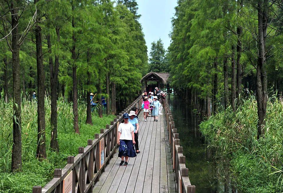 雁青黄河大桥最新动态，奇遇与深厚友情的交织