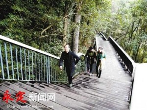 凤山县抢尸事件最新进展与背景回顾，影响与反响持续升级