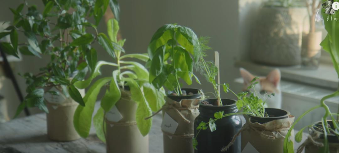 中央二孩抢生政策最新解读，政策细节一览无余