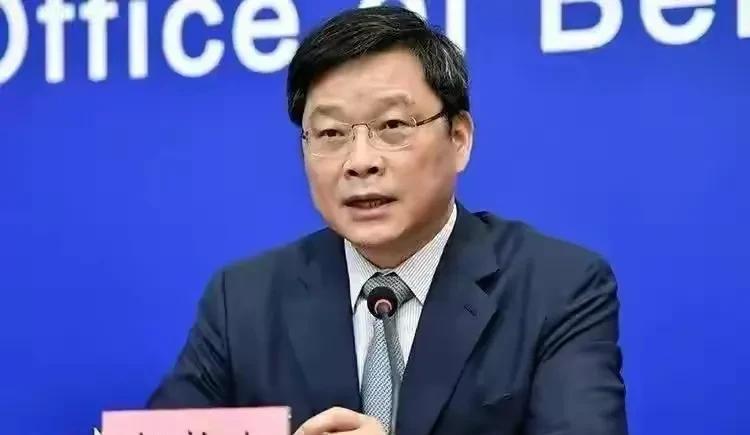 中央查百川深度探究与最新案例分析