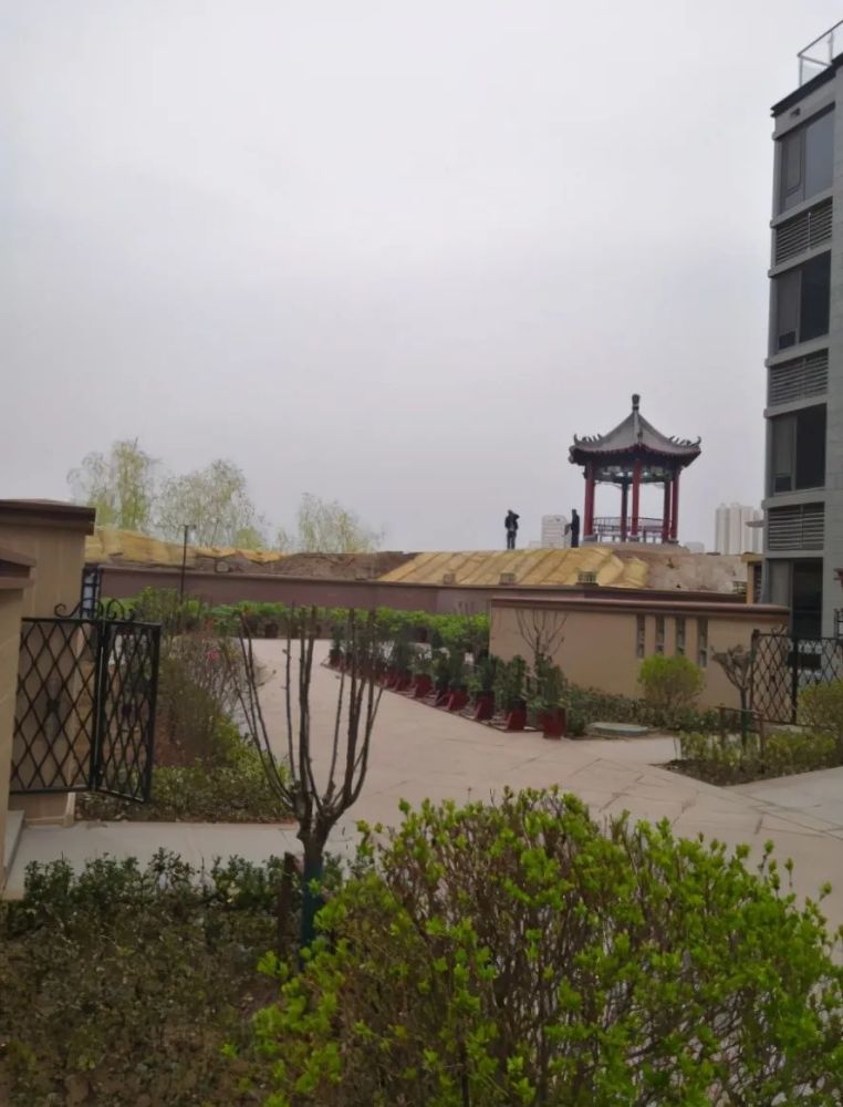 淄川上湖御园最新动态更新,最新消息汇总