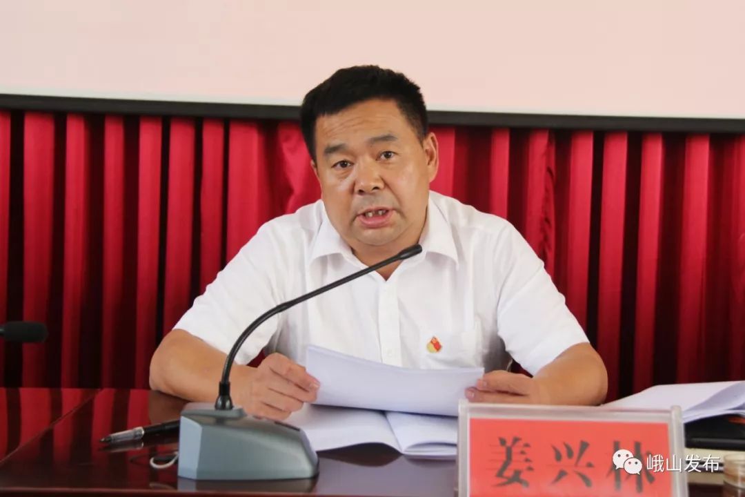 最新党建领导小组组长的一天温馨趣事概览