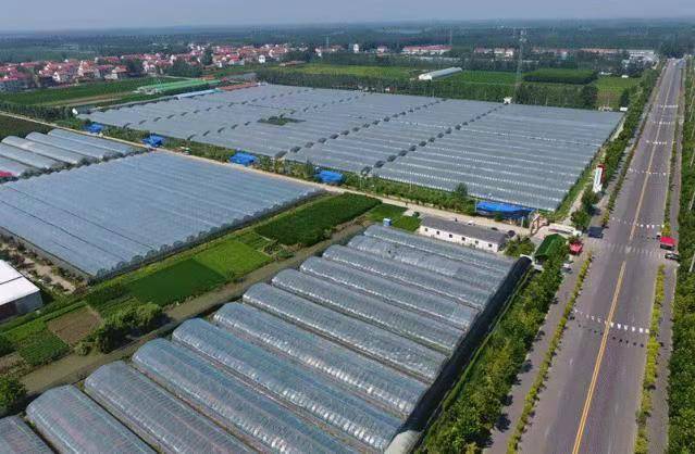 曲堤工业园最新动态与友情故事的交织点