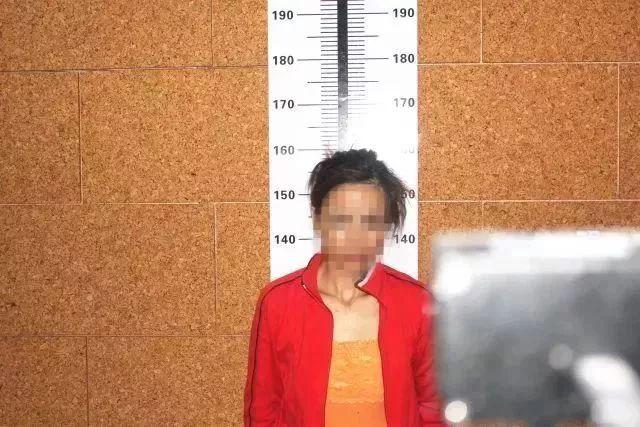 关于妖妖直播破解版的警示，合法使用软件，警惕网络安全风险，学习新技能的正确路径