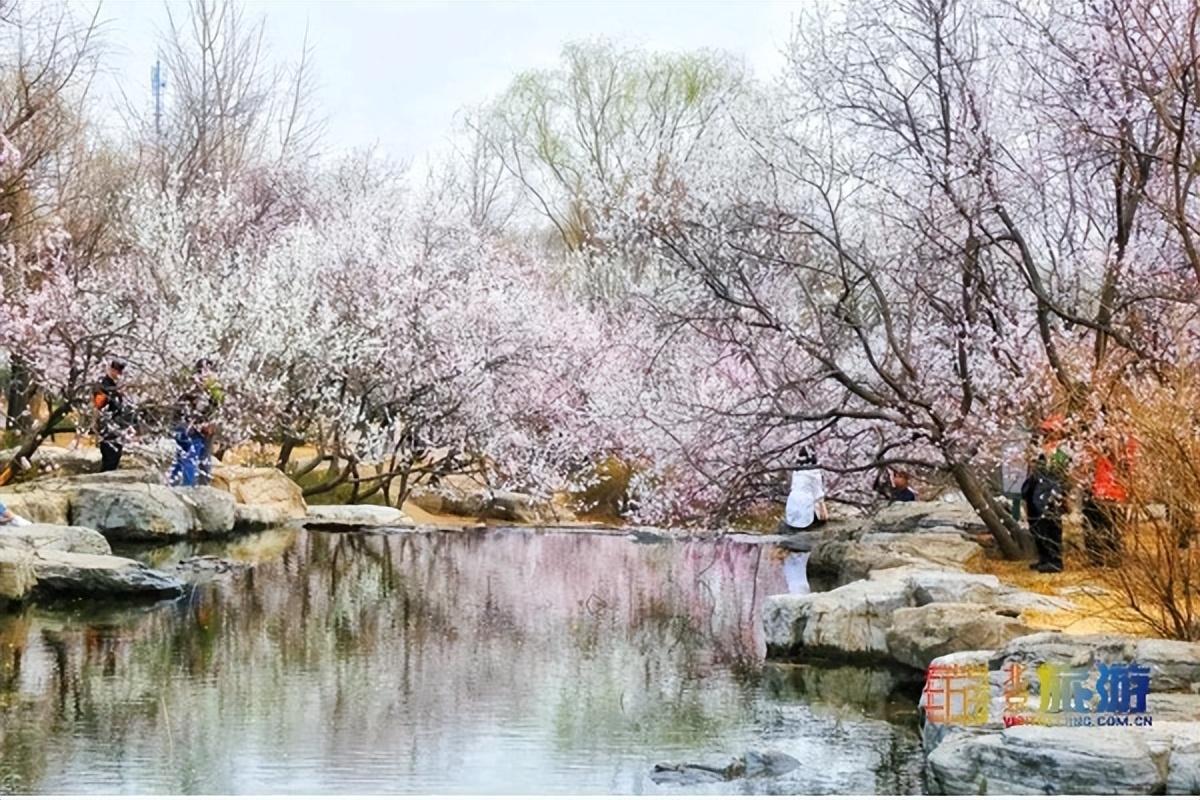 地铁西郊线最新进展，引领城市新脉动，展现交通新面貌