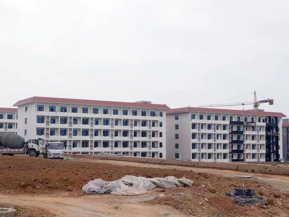 国际精神分裂症治疗最新进展揭秘