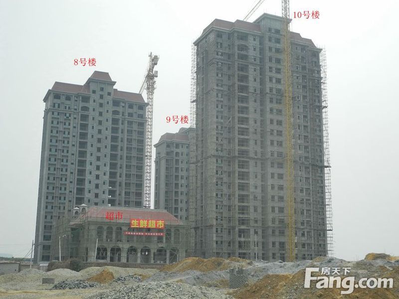 上品百合园最新动态更新