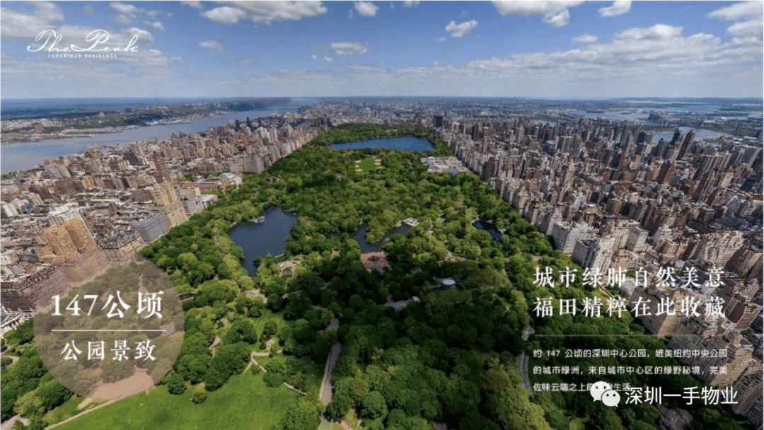 李村中央公园最新动态及全面了解与参与指南