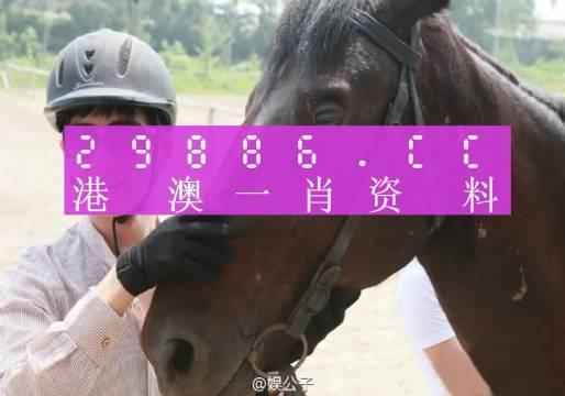 澳门必中一肖一码第一个r,全面信息解释定义_NUP9.509月光版