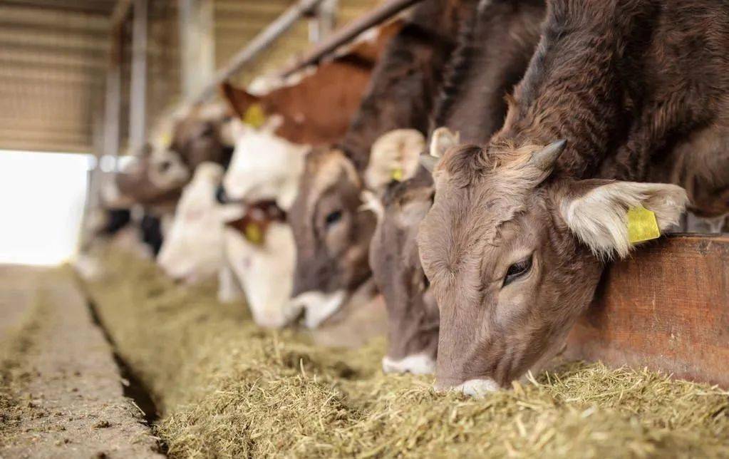 旋转接头 第649页