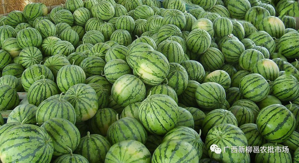 旋转接头 第613页