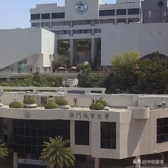 回转接头 第605页