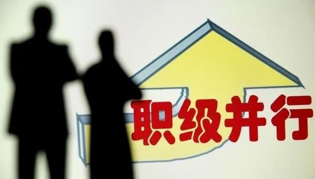 职级并行改革最新动态，春风拂过日常，改革故事与你我同行