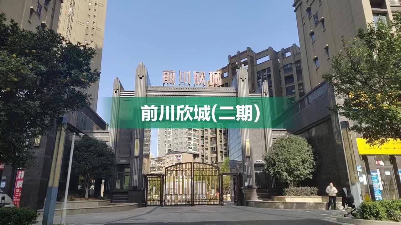 前川欣城二期最新动态概览