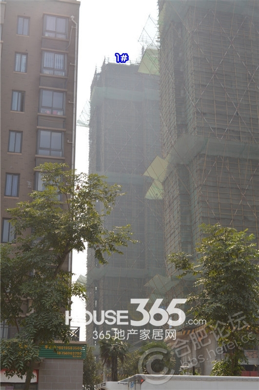 加侨悦山国际最新动态,学习之旅中的变化与成就感的源泉