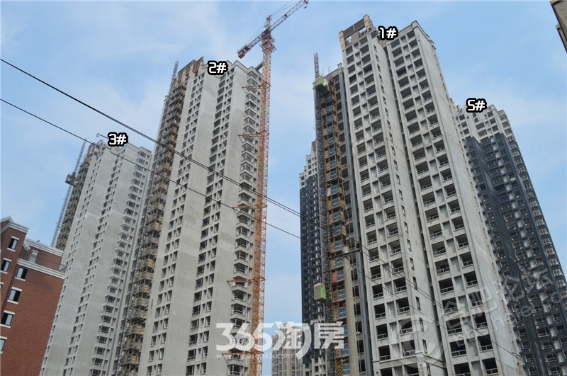 加侨悦山国际最新动态,学习之旅中的变化与成就感的源泉